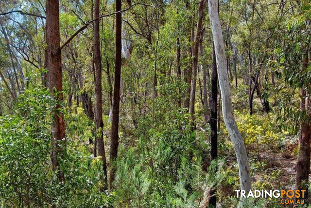 Lot 5 Doctors Flat Road WEE JASPER NSW 2582 - photo 3 of 3