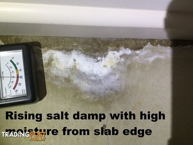 House Inspections Adelaide all areas, from $350. - photo 2 of 22