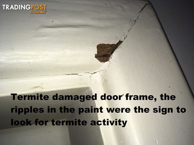 House Inspections Adelaide all areas, from $350. - photo 4 of 22