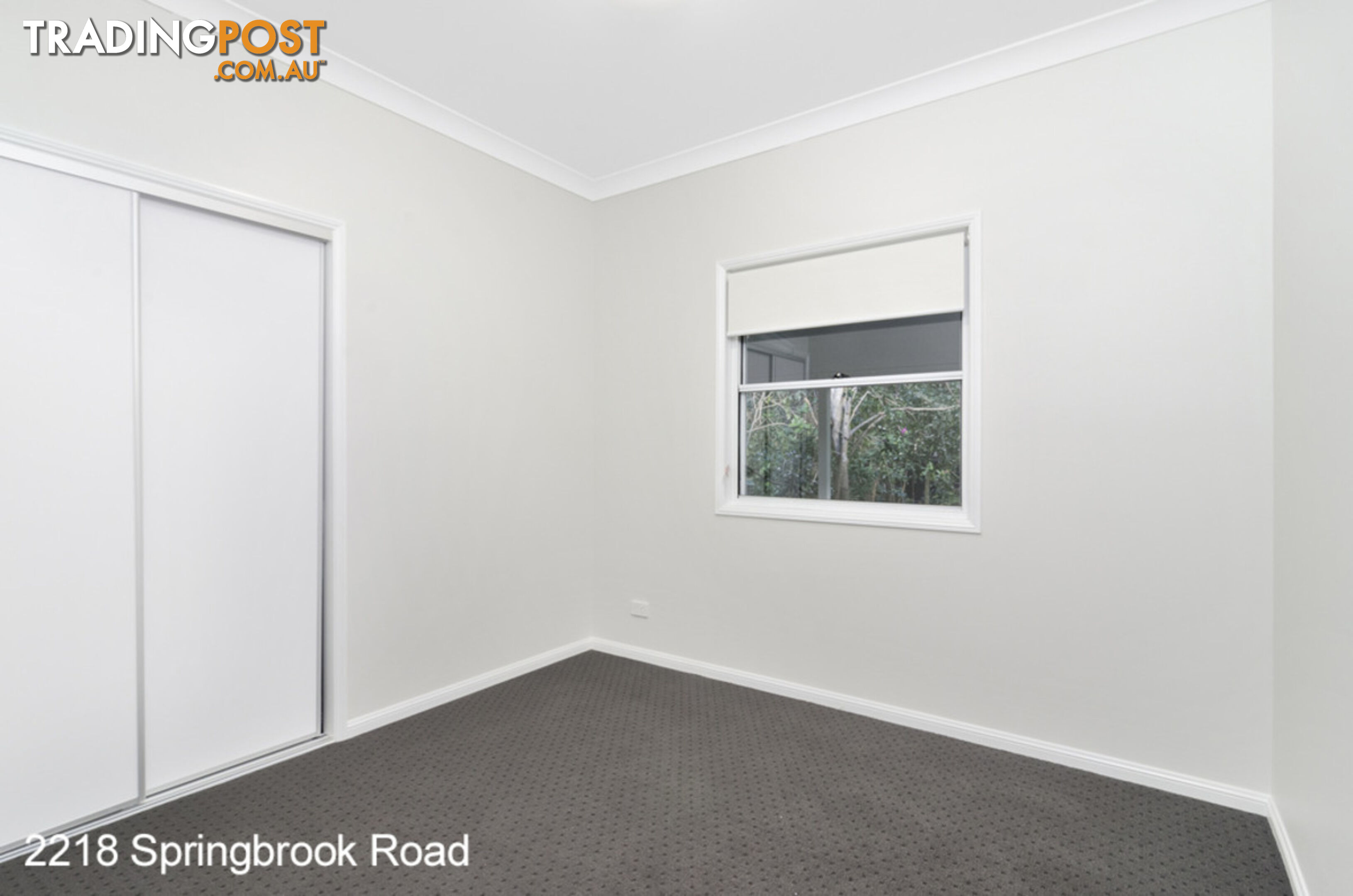 2218 Springbrook Road SPRINGBROOK QLD 4213