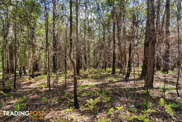 1934 Springbrook Road SPRINGBROOK QLD 4213