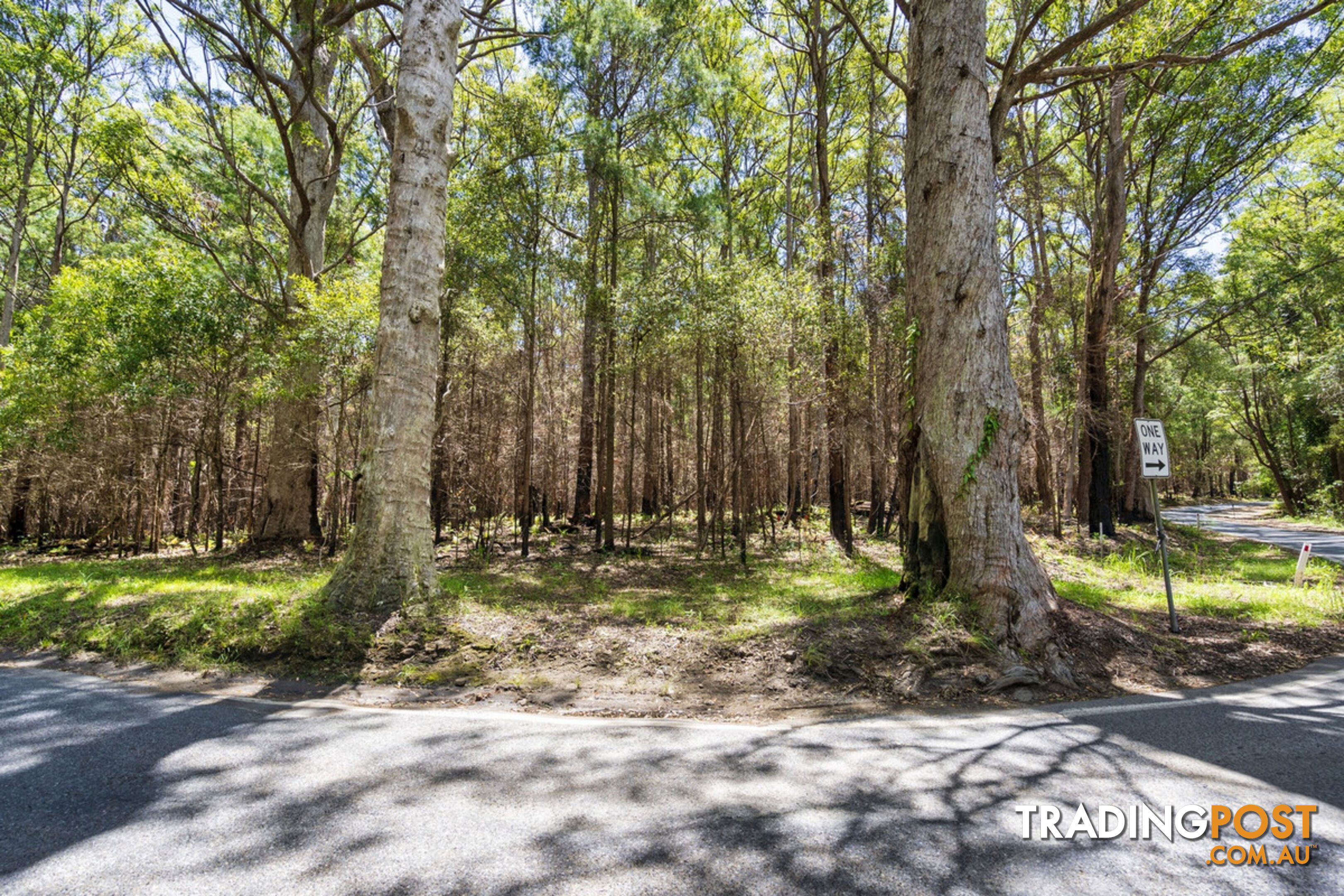 1934 Springbrook Road SPRINGBROOK QLD 4213