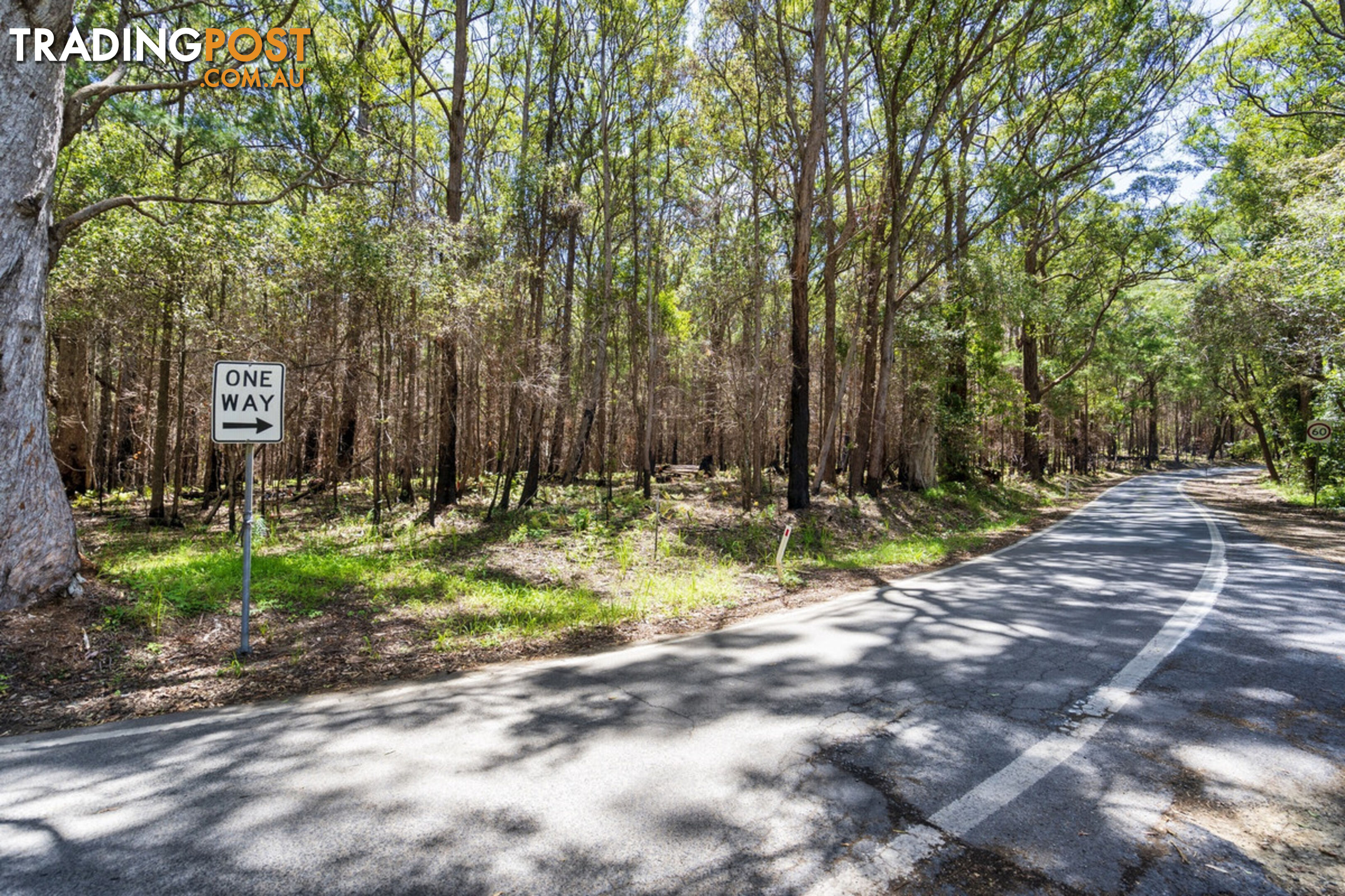 1934 Springbrook Road SPRINGBROOK QLD 4213