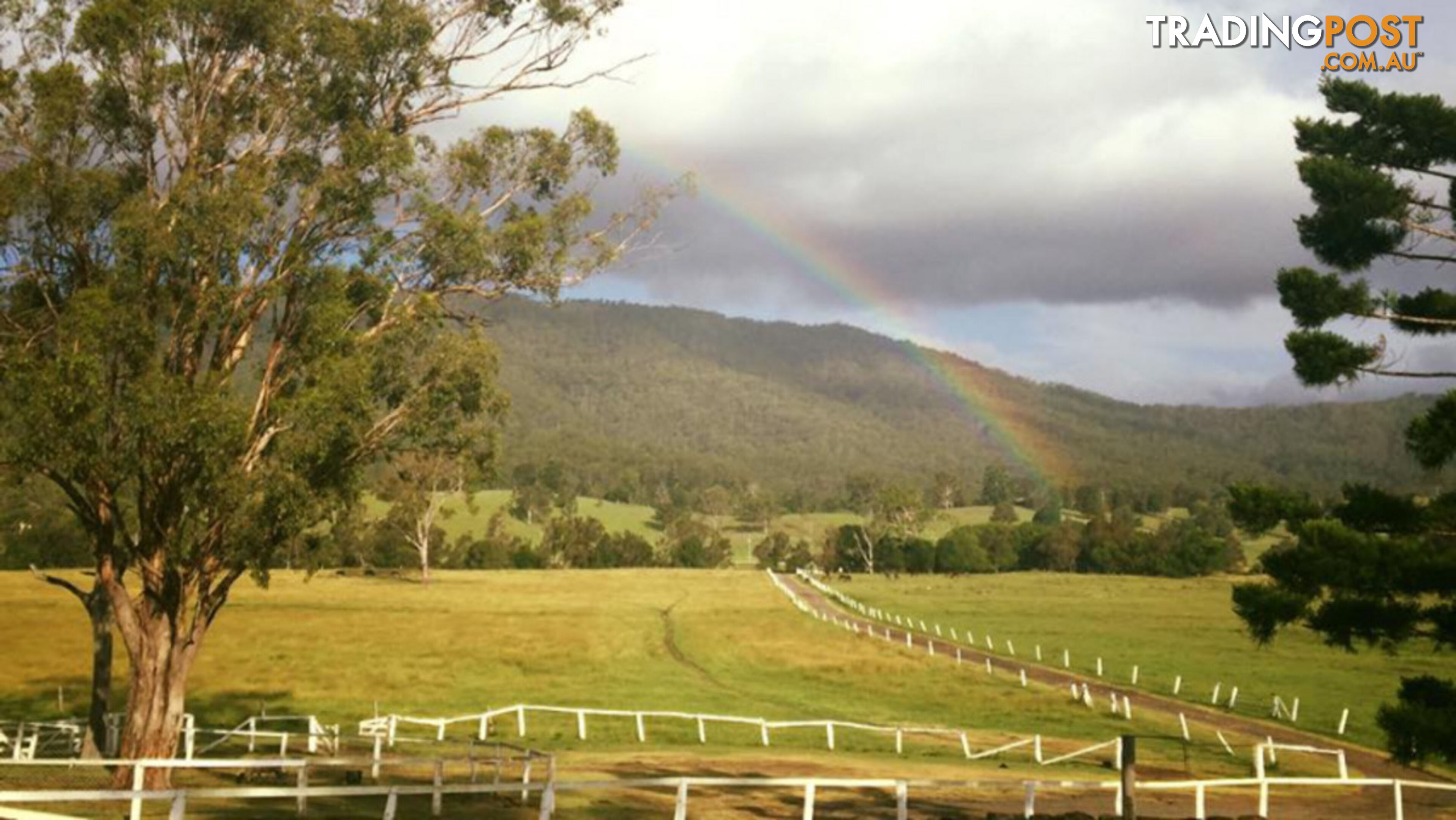 Lot 2/400 Biddaddaba Creek Road BIDDADDABA QLD 4275