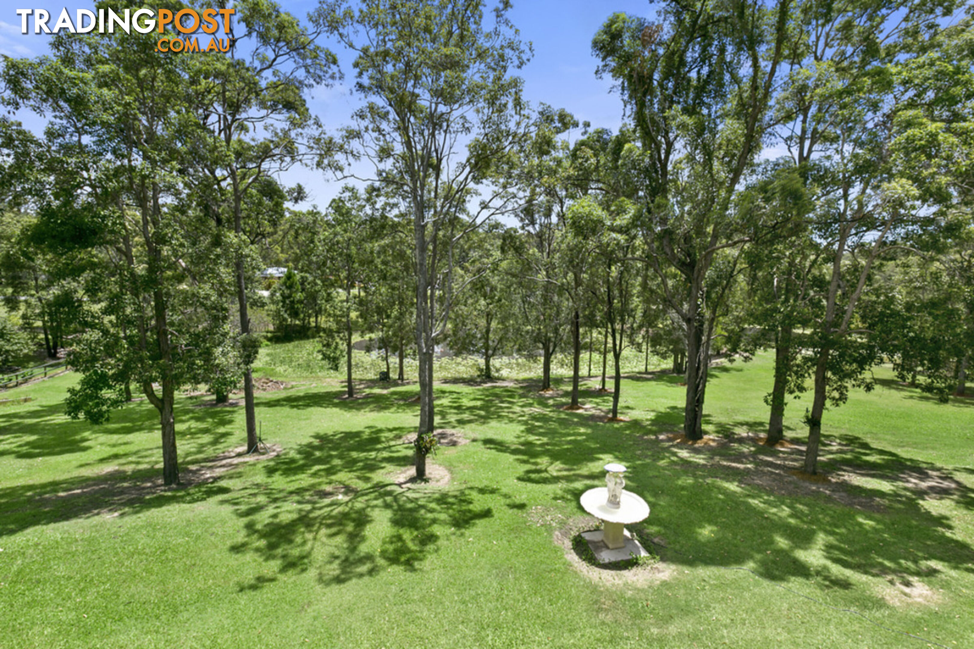 52 Nerang Murwillumbah Road MOUNT NATHAN QLD 4211