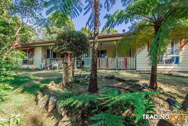 41 Lyrebird Ridge Road SPRINGBROOK QLD 4213