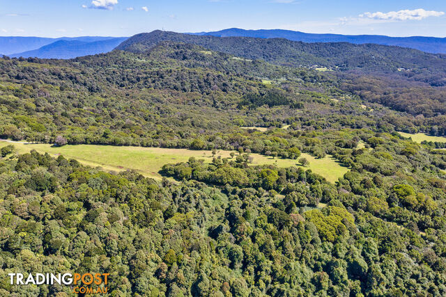 3000 Springbrook Road SPRINGBROOK QLD 4213