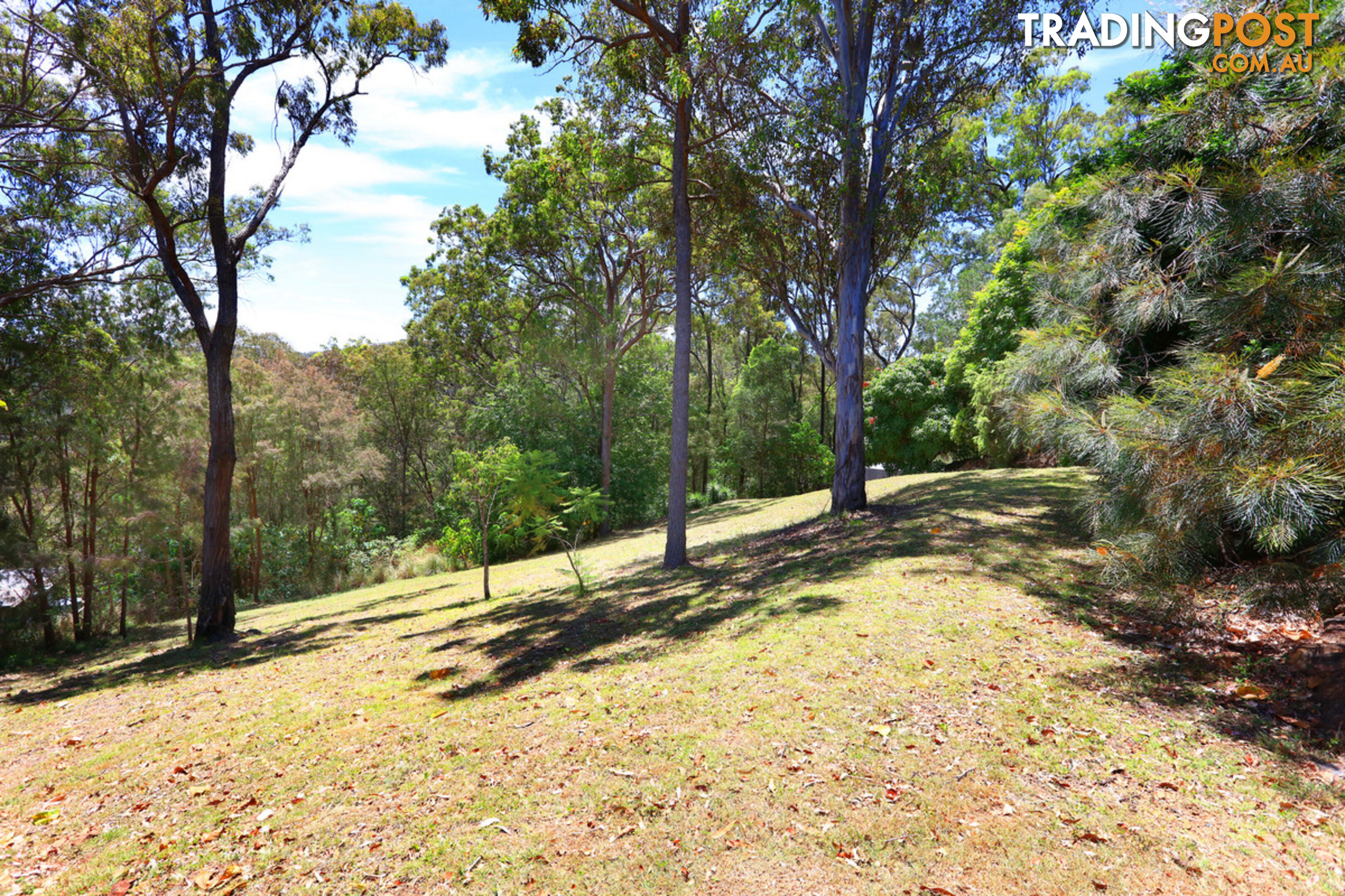 61 Witheren Road CLAGIRABA QLD 4211