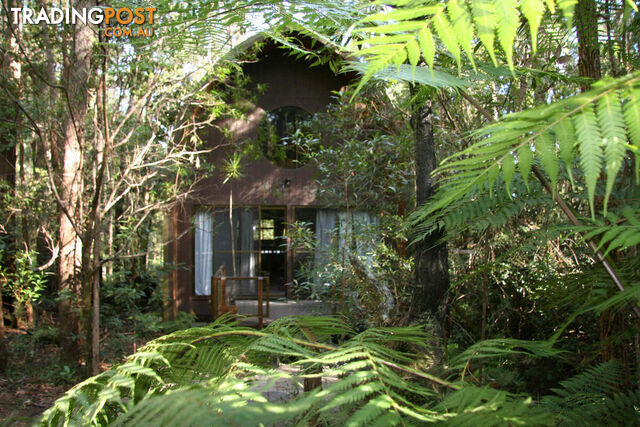 2058 Springbrook Road SPRINGBROOK QLD 4213