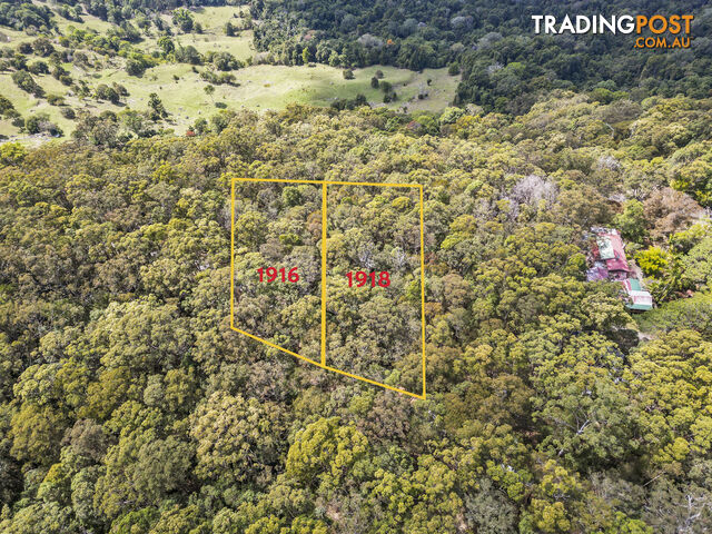 1916 Springbrook Road SPRINGBROOK QLD 4213