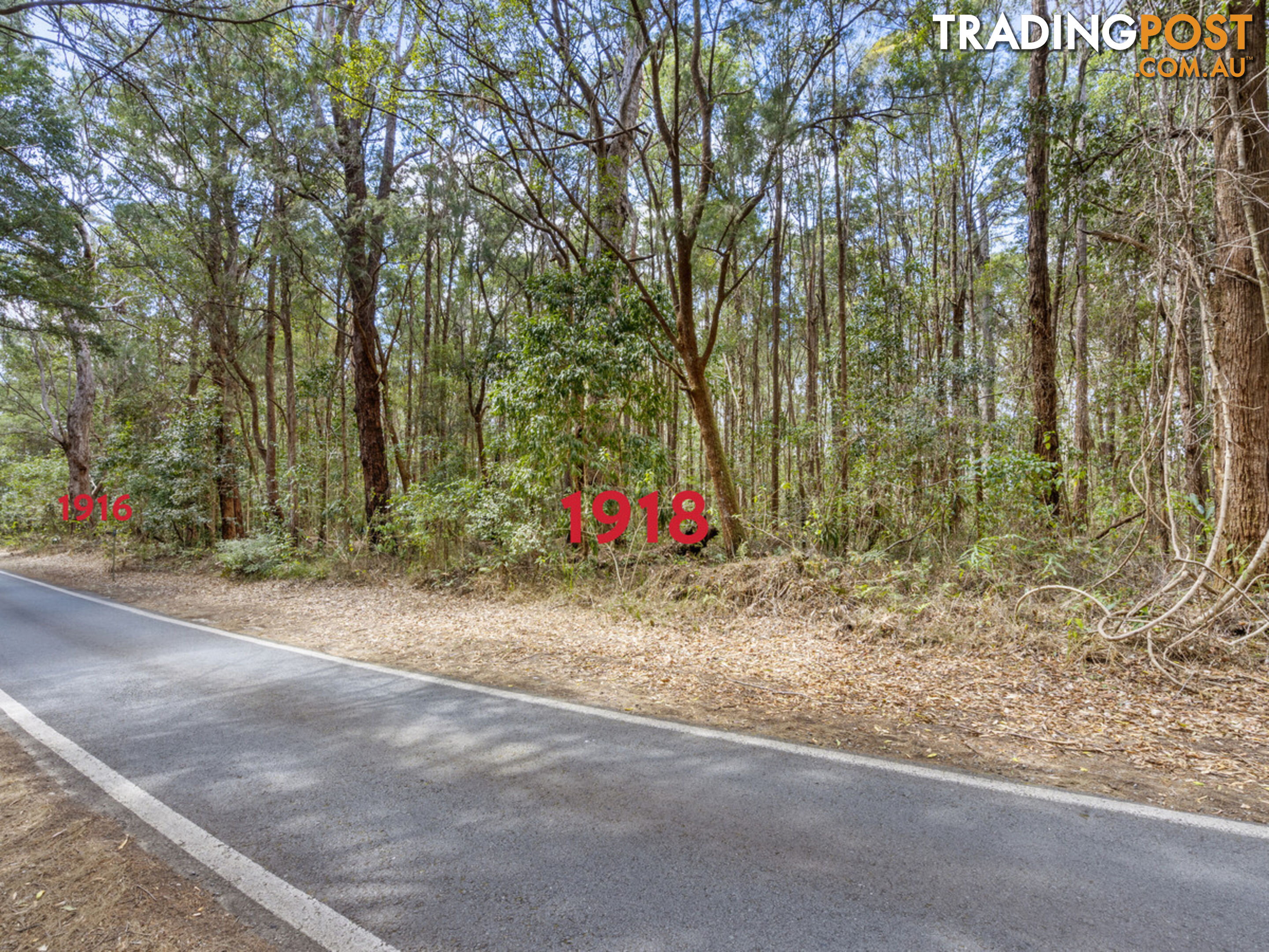 1916 Springbrook Road SPRINGBROOK QLD 4213