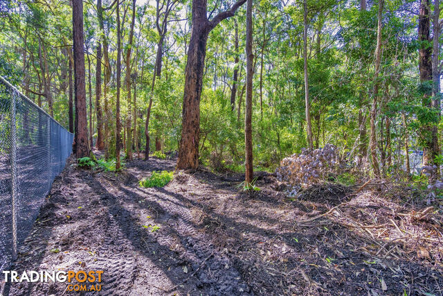 1922 Springbrook Road SPRINGBROOK QLD 4213