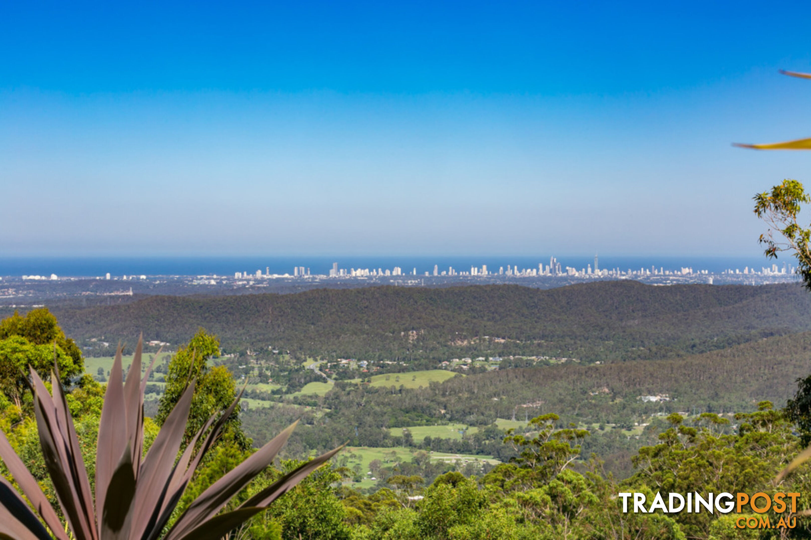 181 Guanaba Road TAMBORINE MOUNTAIN QLD 4272