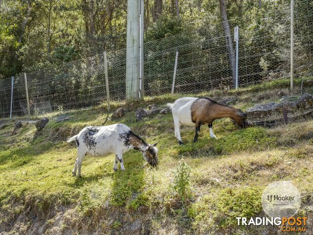 20 Old Farm Road SOUTH HOBART TAS 7004