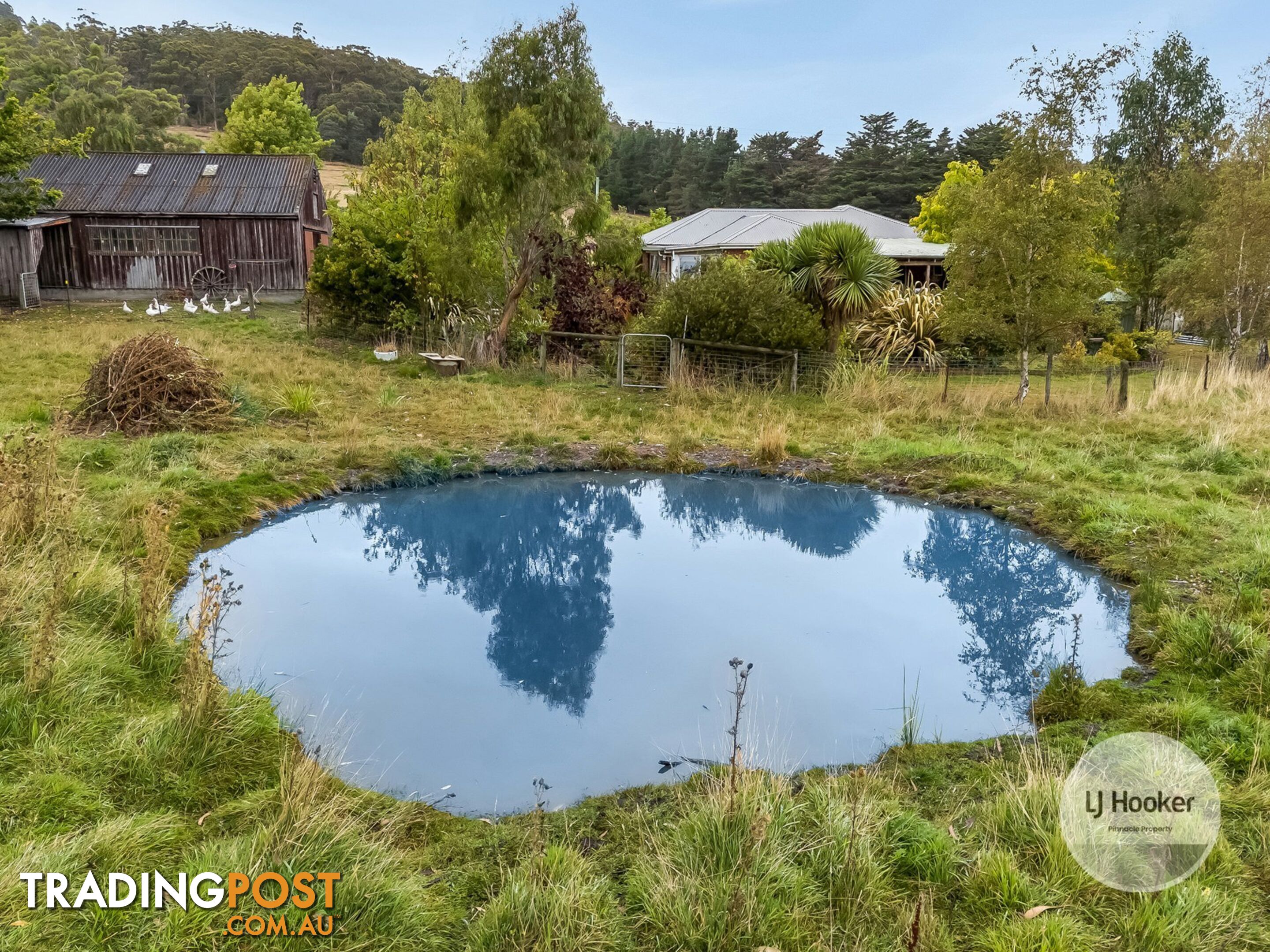 59 Fourfoot Road GEEVESTON TAS 7116