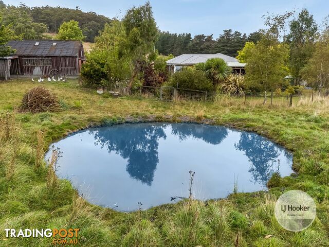 59 Fourfoot Road GEEVESTON TAS 7116