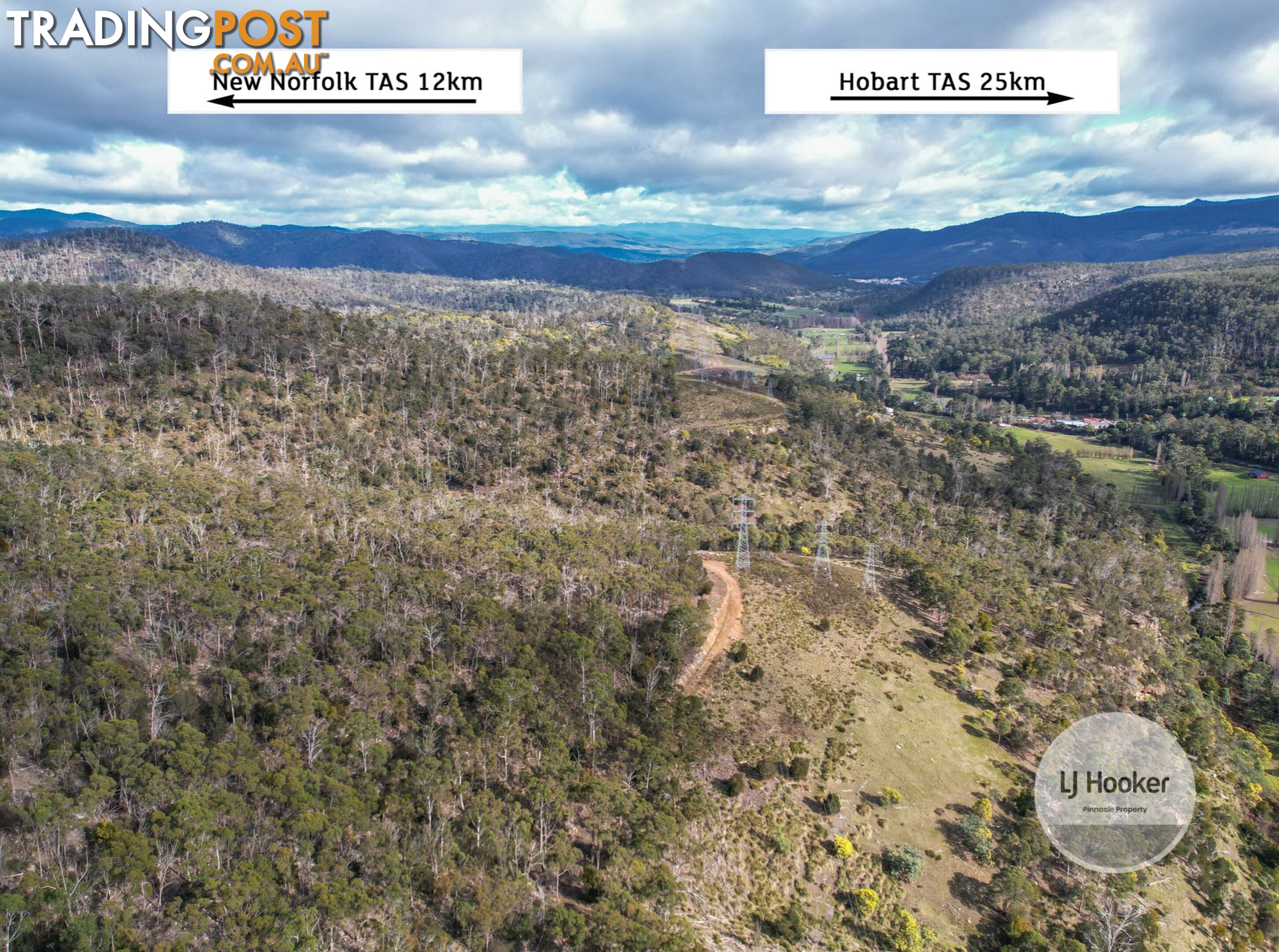 Lot 1/484 Molesworth Road MOLESWORTH TAS 7140