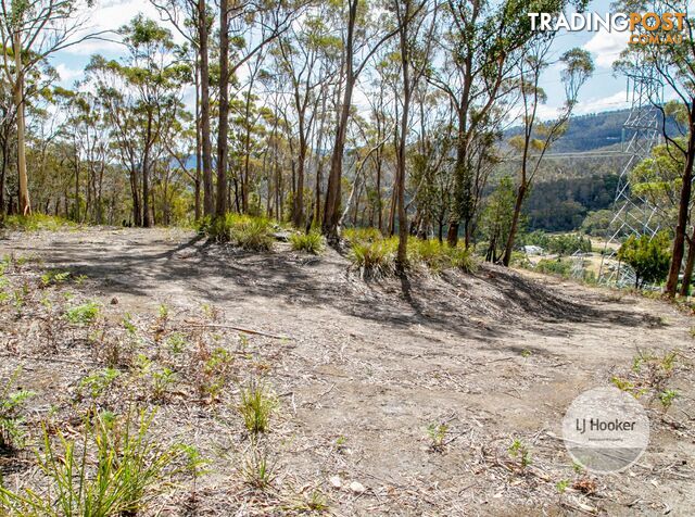 Lot 1/484 Molesworth Road MOLESWORTH TAS 7140