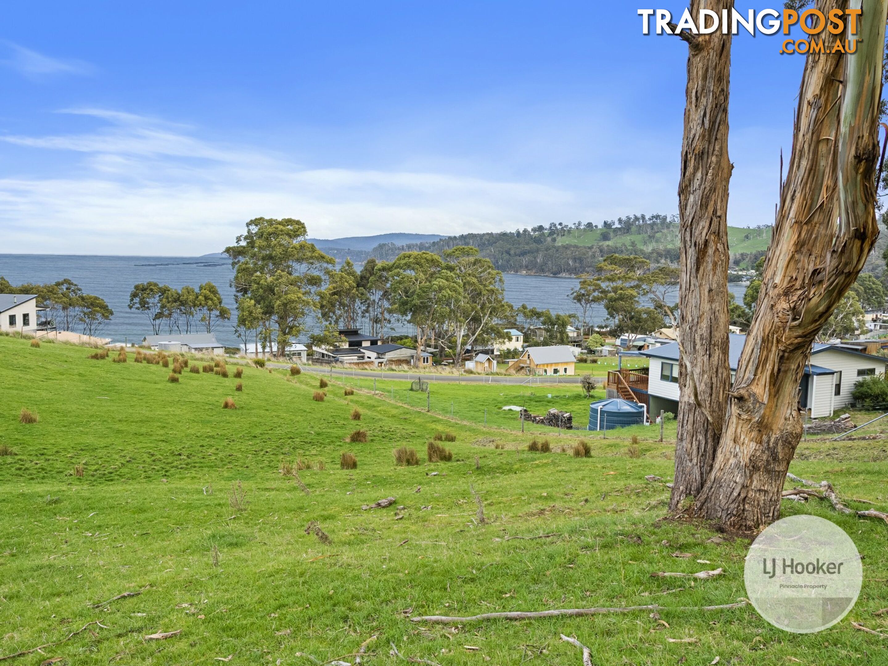 67 Dunn Drive SURVEYORS BAY TAS 7116