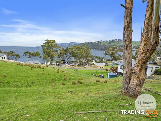 67 Dunn Drive SURVEYORS BAY TAS 7116