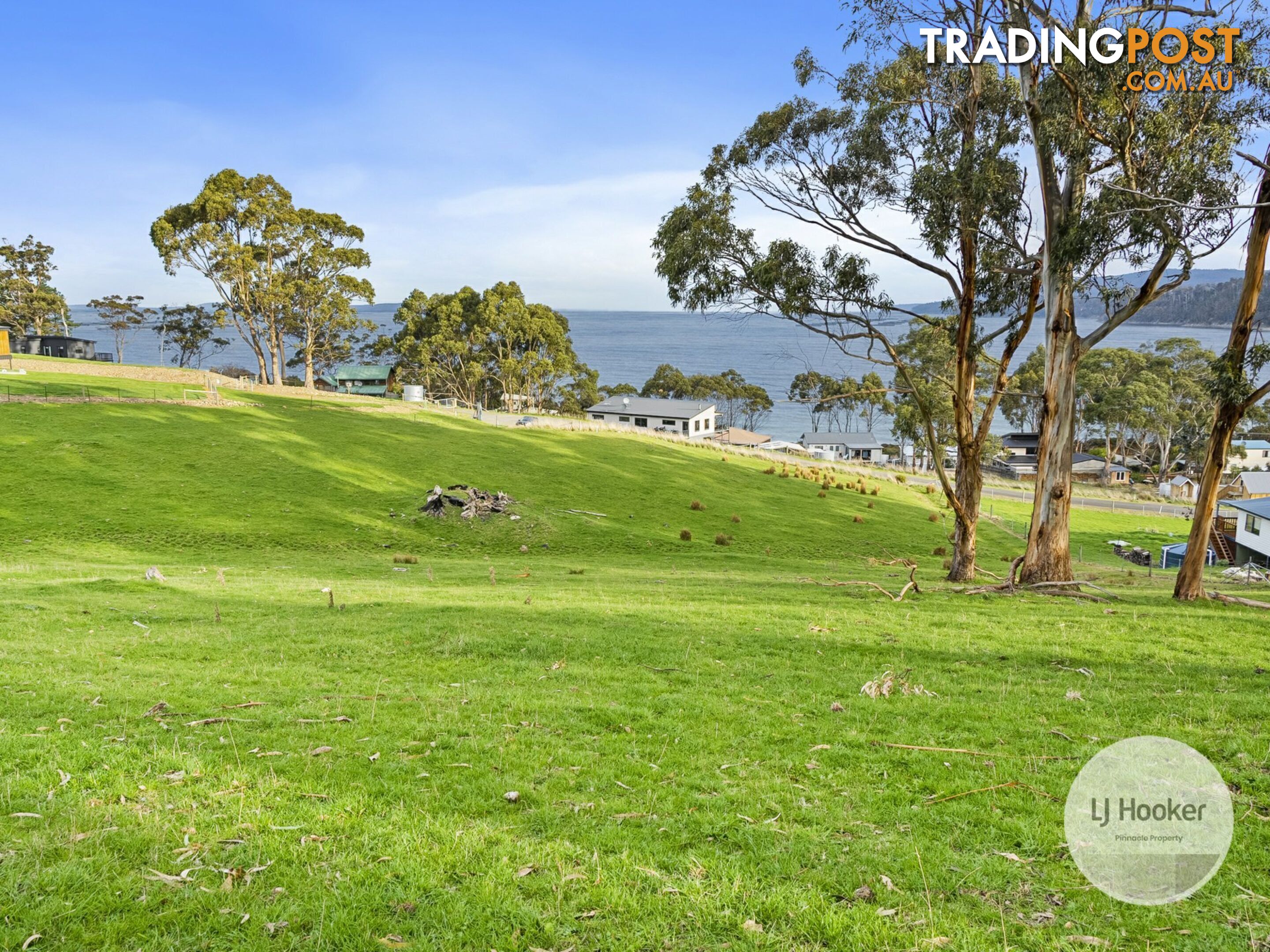 67 Dunn Drive SURVEYORS BAY TAS 7116