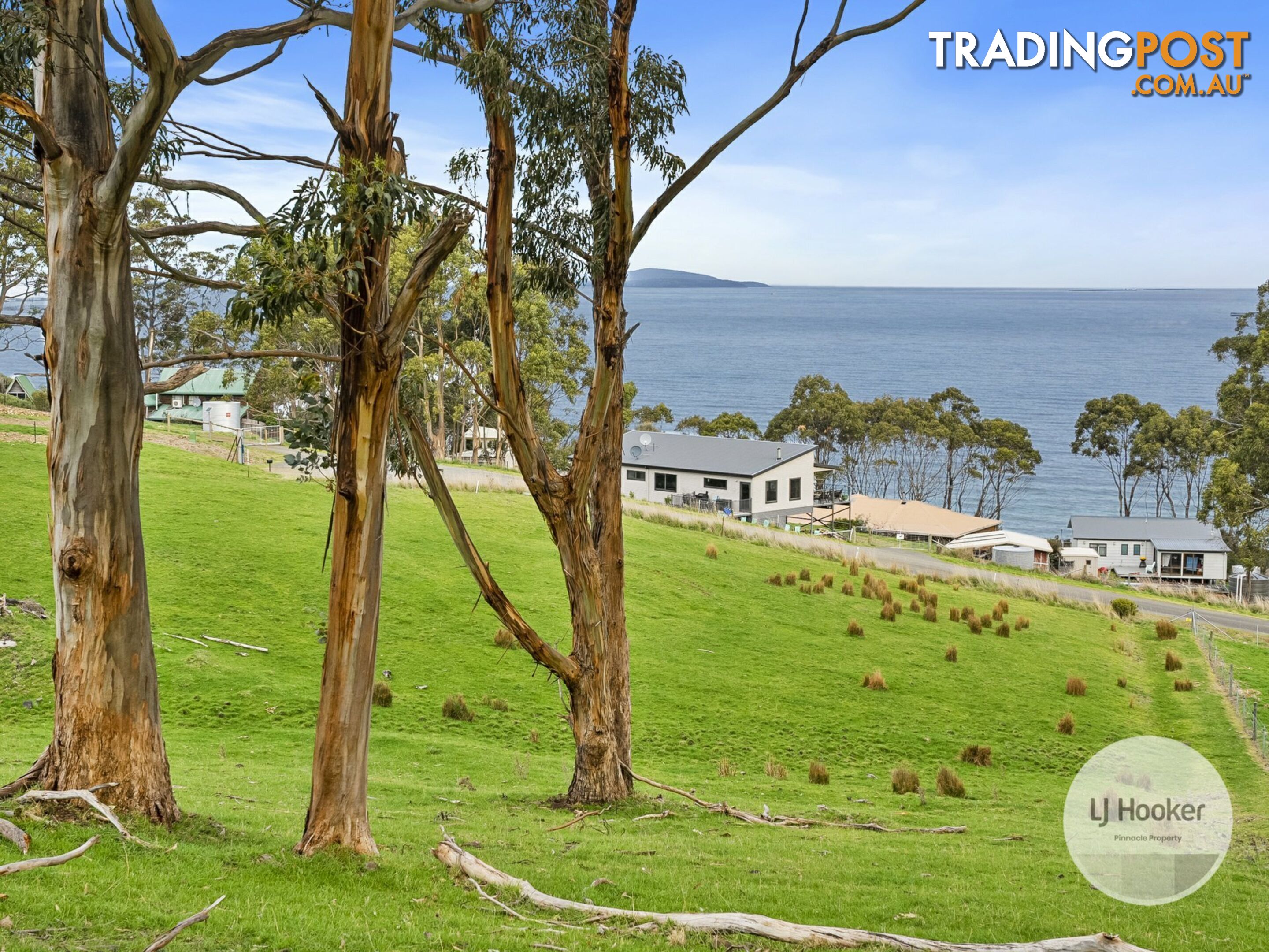 67 Dunn Drive SURVEYORS BAY TAS 7116