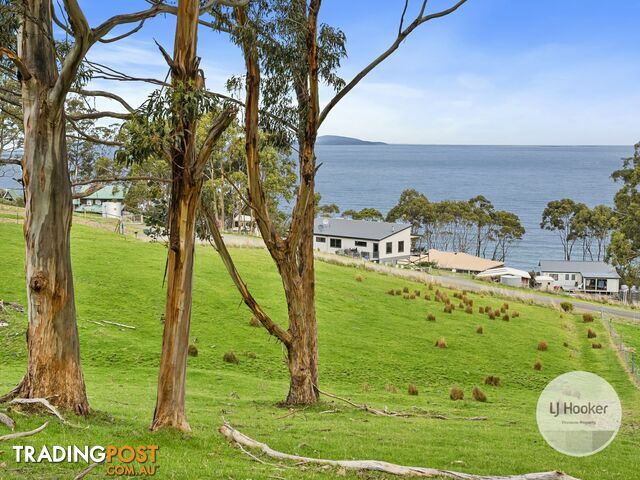 67 Dunn Drive SURVEYORS BAY TAS 7116