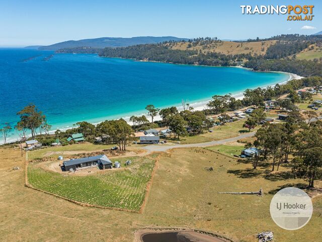 67 Dunn Drive SURVEYORS BAY TAS 7116