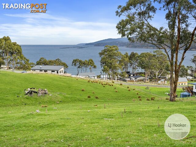 67 Dunn Drive SURVEYORS BAY TAS 7116