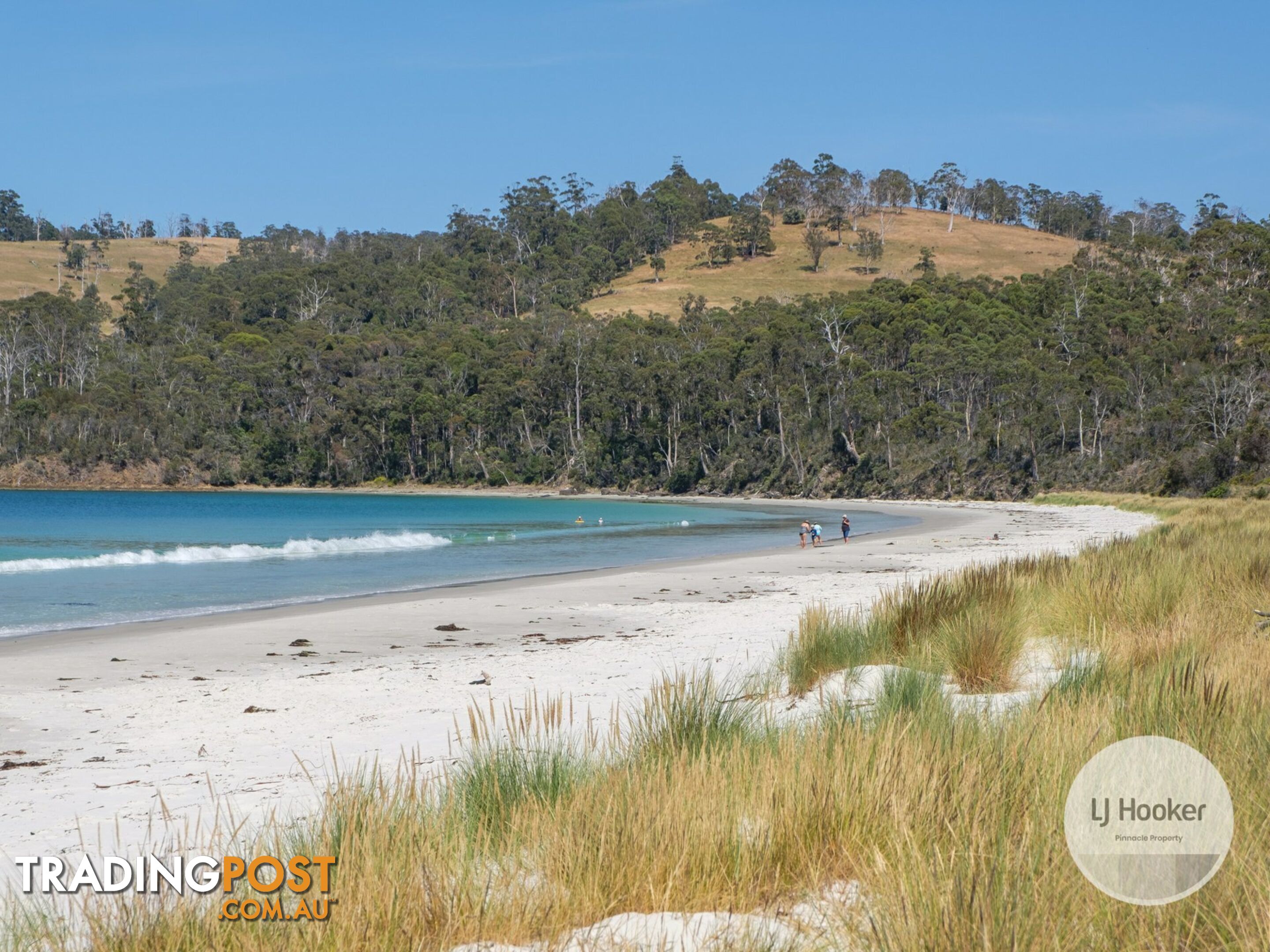 67 Dunn Drive SURVEYORS BAY TAS 7116