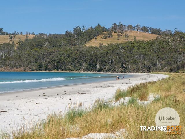 67 Dunn Drive SURVEYORS BAY TAS 7116