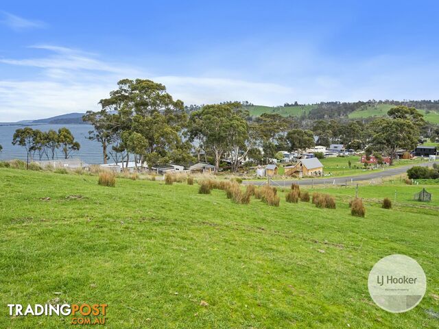 67 Dunn Drive SURVEYORS BAY TAS 7116