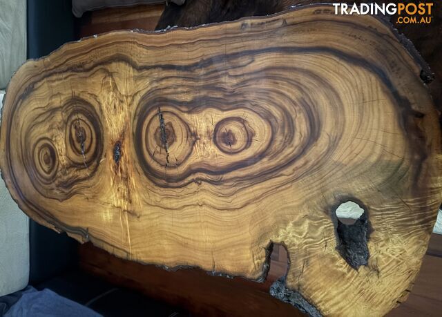 Camphor Laurel Timber Slab Lacquered & Ready to Use