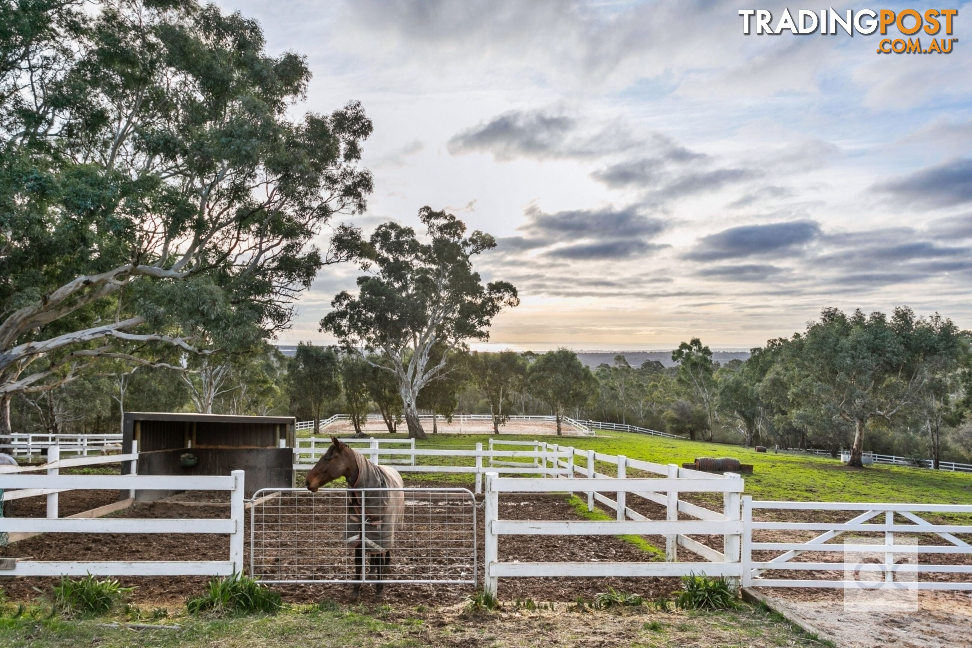 772 Main Road Chandlers Hill SA 5159