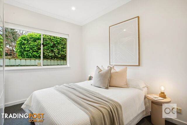 6 Butler Avenue Lower Mitcham SA 5062