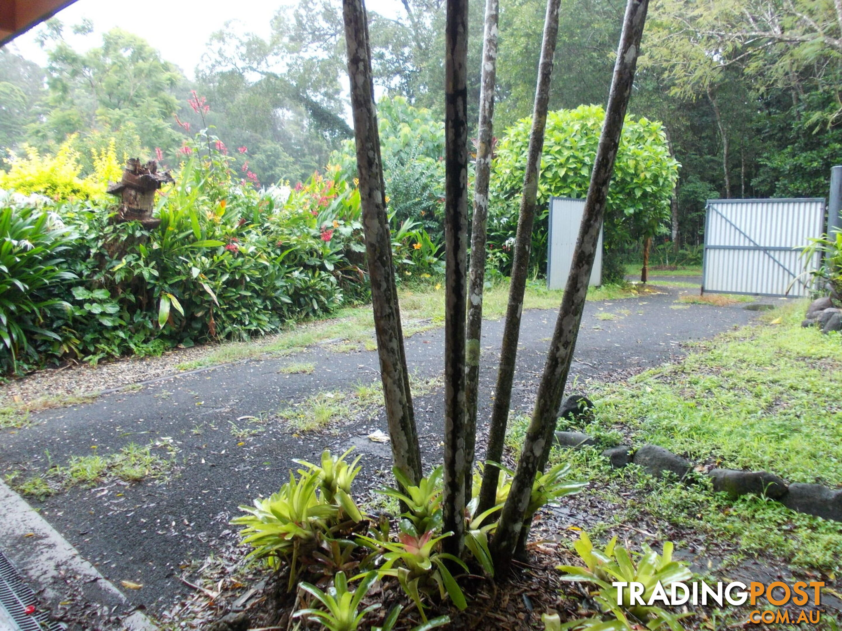 4 Greene Lane Kuranda QLD 4881