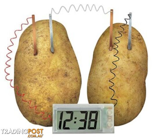 Potato Powered Clock Kit