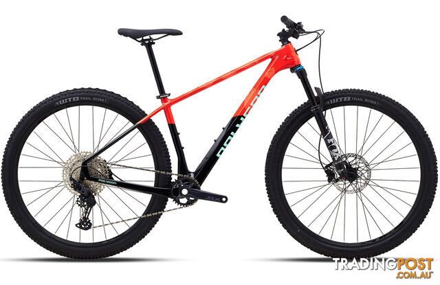 2024 Polygon Syncline C5 - Carbon XC Mountain Bike  - 4792022_SYNCLINE_C5