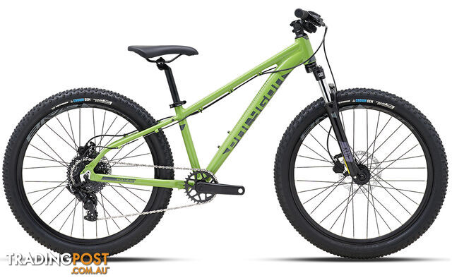 2024 Polygon Premier 24 XC Disc Evo - Lightweight Kids Bike  - 582024_PREMIER_24_XC_DISC_E