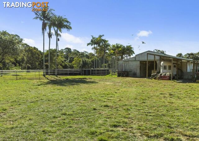 12 Gunsynd Drive MUDGEERABA QLD 4213