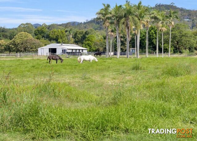 12 Gunsynd Drive MUDGEERABA QLD 4213