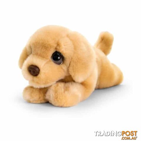 Keel Toys - Signature Puppy Labrador Plush 37cm - Keel Toys - 5027148025271