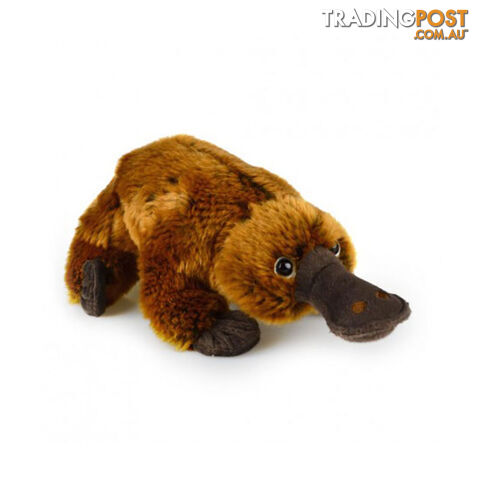 Korimco - Platypus Deluxe Plush - 33 cm - Korimco - 9312552585043