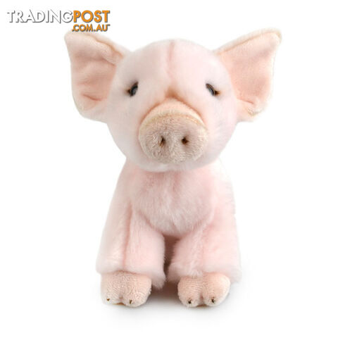 Korimco - Lil Friends Pig Plush 18cm - Korimco - 9312552603686