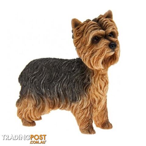 Dog Studies By Leonardo - Yorkshire Terrier - 5010792133843