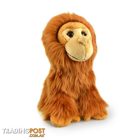 Korimco - Lil Friends Orangutan Plush 18cm - Korimco - 9312552602962