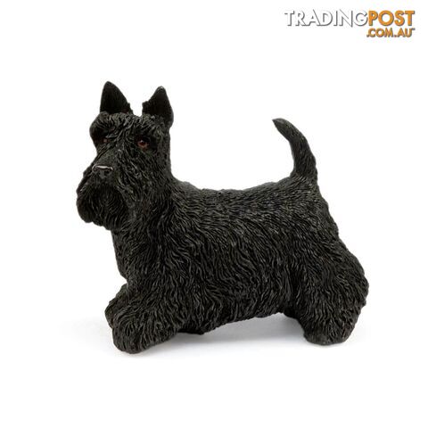 Dog Studies By Leonardo - Scottish Terrier - 5010792435169