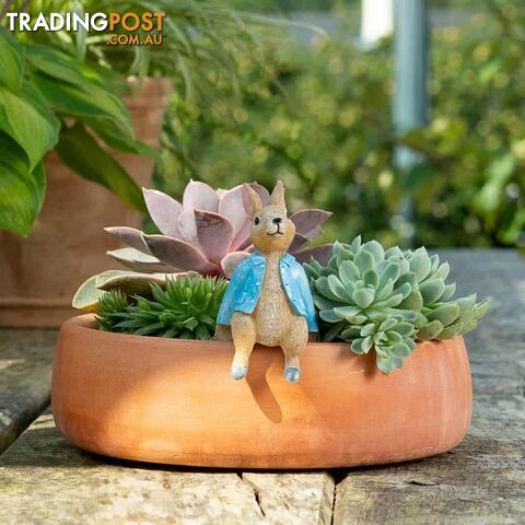 Pot Buddies: Beatrix Potter Peter Rabbit Sitting on Pot - Jardinopia Garden Decor - 5060733452380