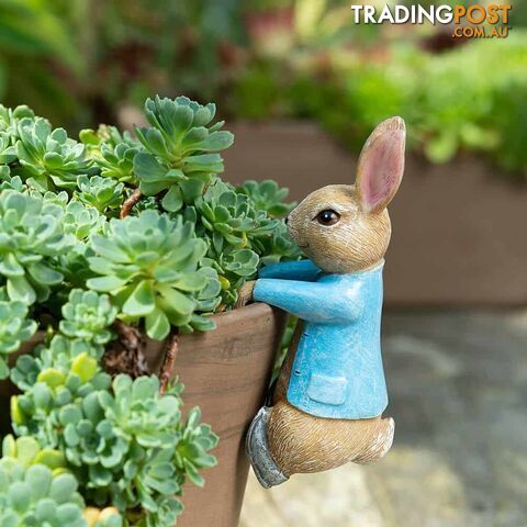 Pot Buddies: Beatrix Potter Peter Rabbit Hanging on The Pot - Jardinopia Garden Decor - 5060733452465