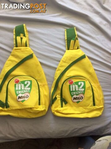Cricket bags for kids